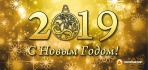 Congratulations on your upcoming New Year 2019!